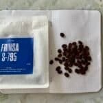 Roasted coffee beans next to a bag of Frinsa S-795 natural lactic ferments on a marble surface.