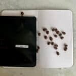 Fresh coffee beans spilled on a white dotted notebook with a black cover, on a light green surface, representing quality coffee beans and roasting process.