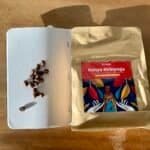 Realistic photo of Kenyan coffee beans on a notebook page with a bag of Kenyan Kirinyaga coffee on a wooden surface, highlighting premium coffee sourcing and quality beans.