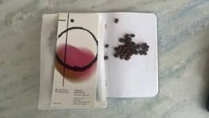 Rich coffee beans on a white dotted notebook with a colourful abstract art card, representing premium coffee and roasting expertise. Perfect for coffee enthusiasts and specialty coffee branding.