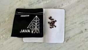 Coffee beans scattered on dotted notebook next to a black Java programming book with an intricate design.