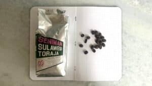 Freshly roasted Sulawesi Toraja coffee beans on a dotted notebook page with the packaging beside them. High-quality, medium roast Arabica coffee beans ideal for brewing a rich, aromatic coffee experience.