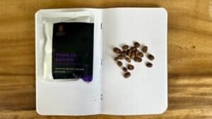Rich coffee beans scattered on a dotted notebook page with a bag of Toraja Sapan coffee from South Sulawesi, highlighting premium Arabica beans and specialty coffee for connoisseurs.